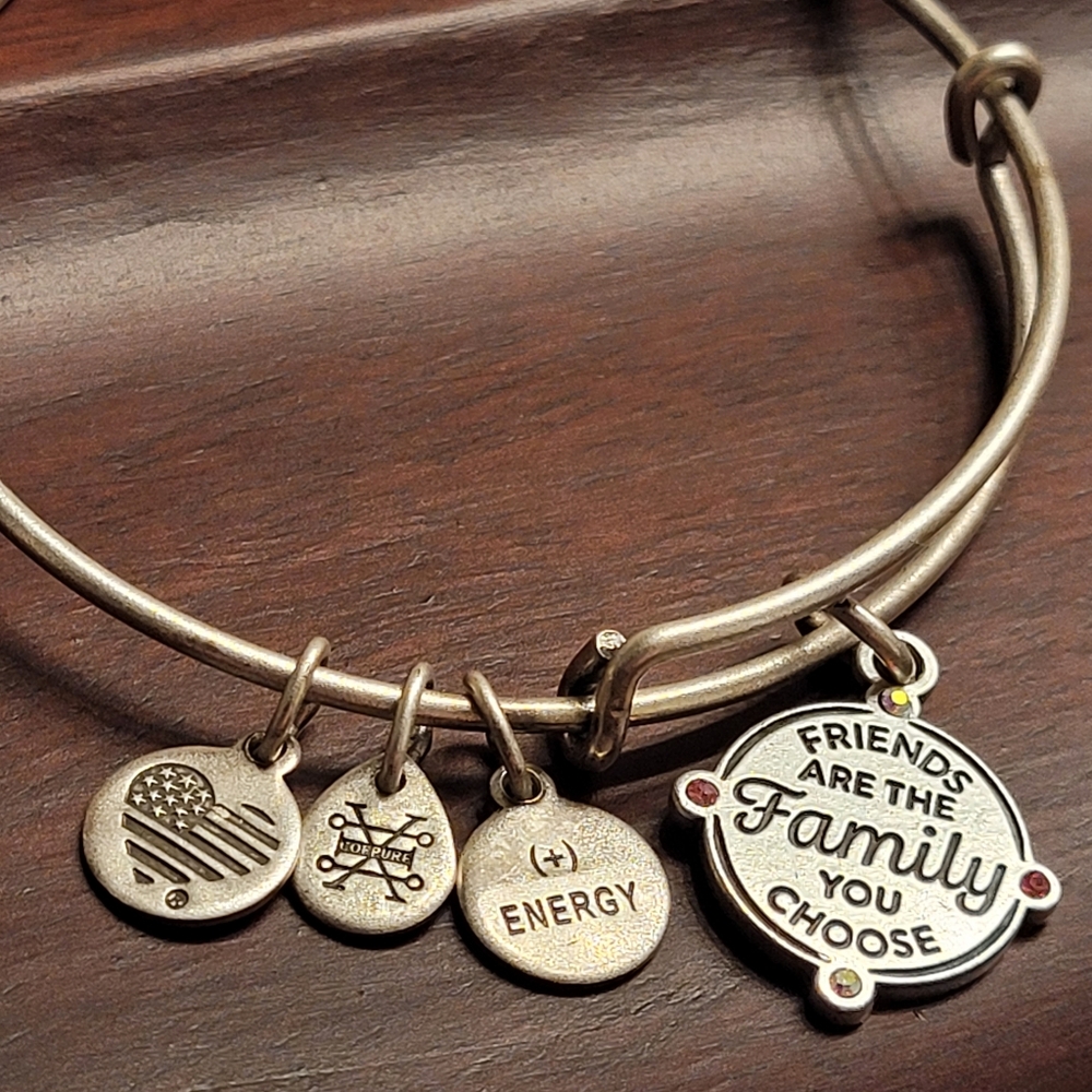 Alex & Ani Friends Are The Family You Choose Charm Bangle Bracelet Silver-tone - Picture 13 of 16